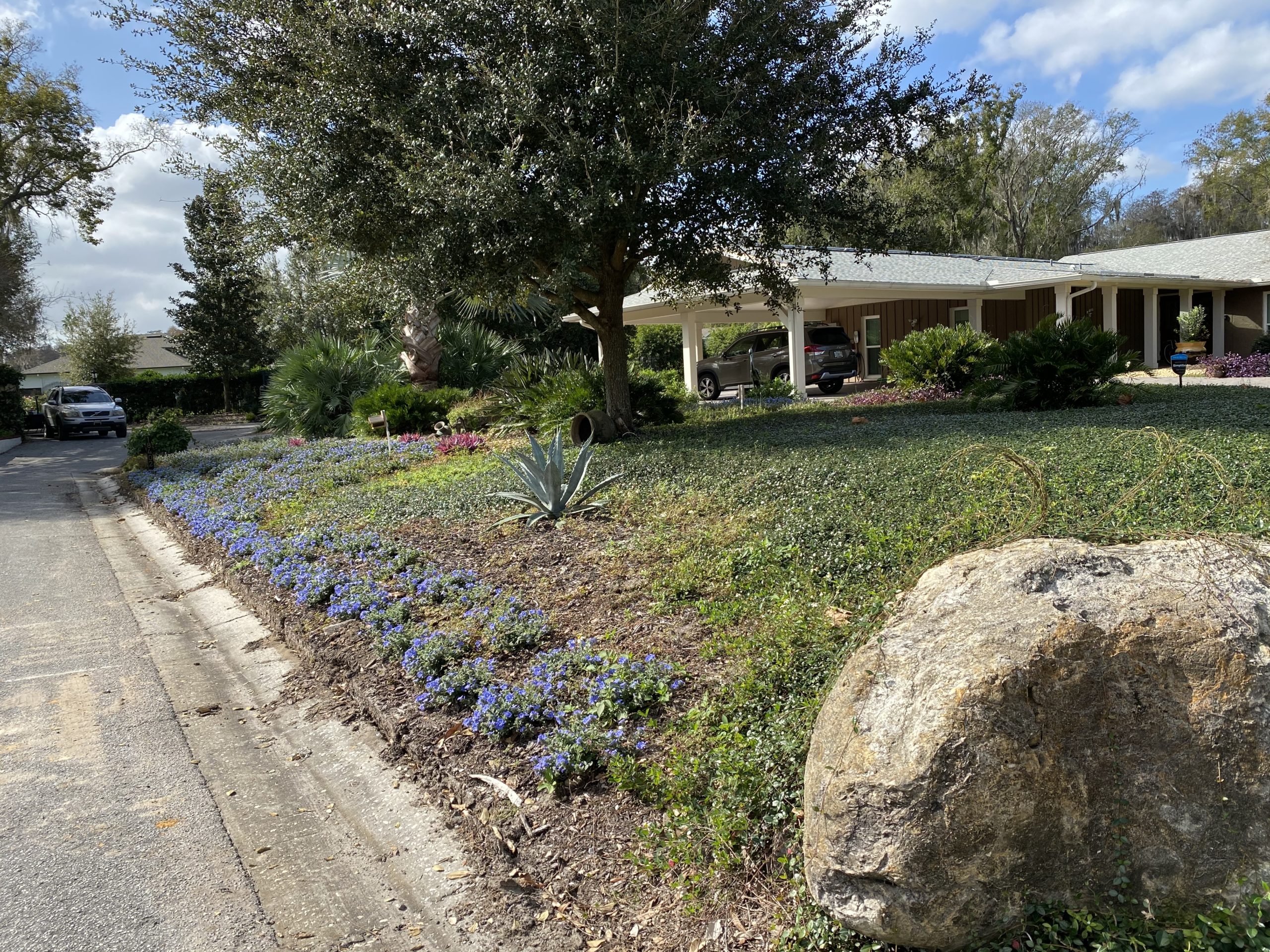 Florida front yard after landscaping.