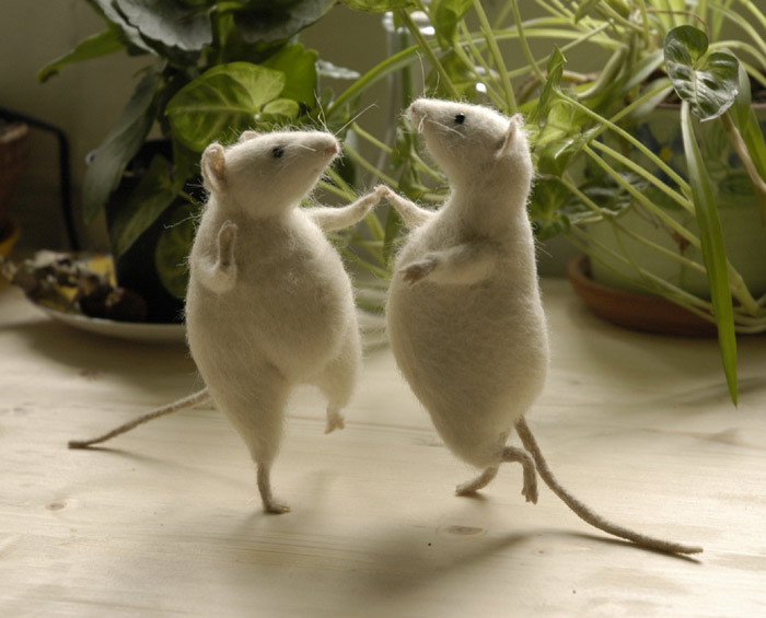 Two mice dancing on a counter.