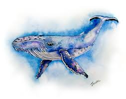 Watercolor painting of a whale.