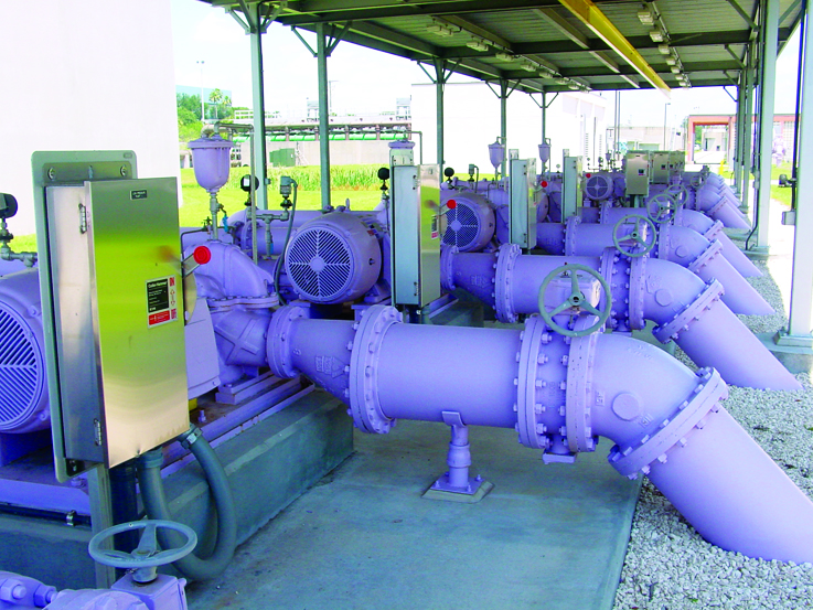 Purple recycled water plant pipes.